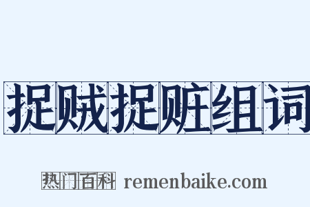捉贼捉赃组词是什么意思的图片
